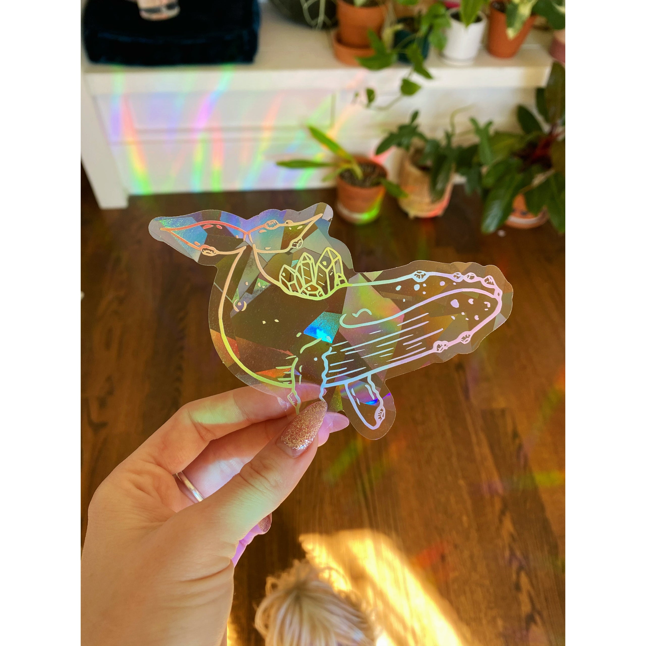 Set of ANY 2 Suncatcher Vinyl Decals – Jess Weymouth