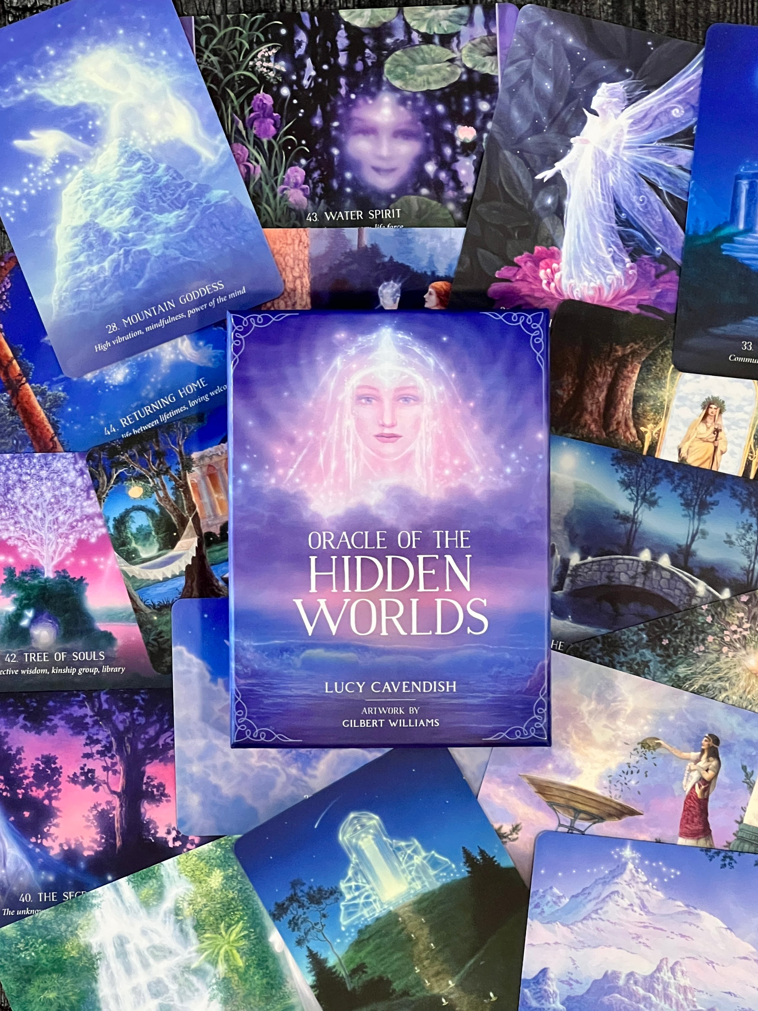 Oracle of the Hidden Worlds by Lucy Cavendish